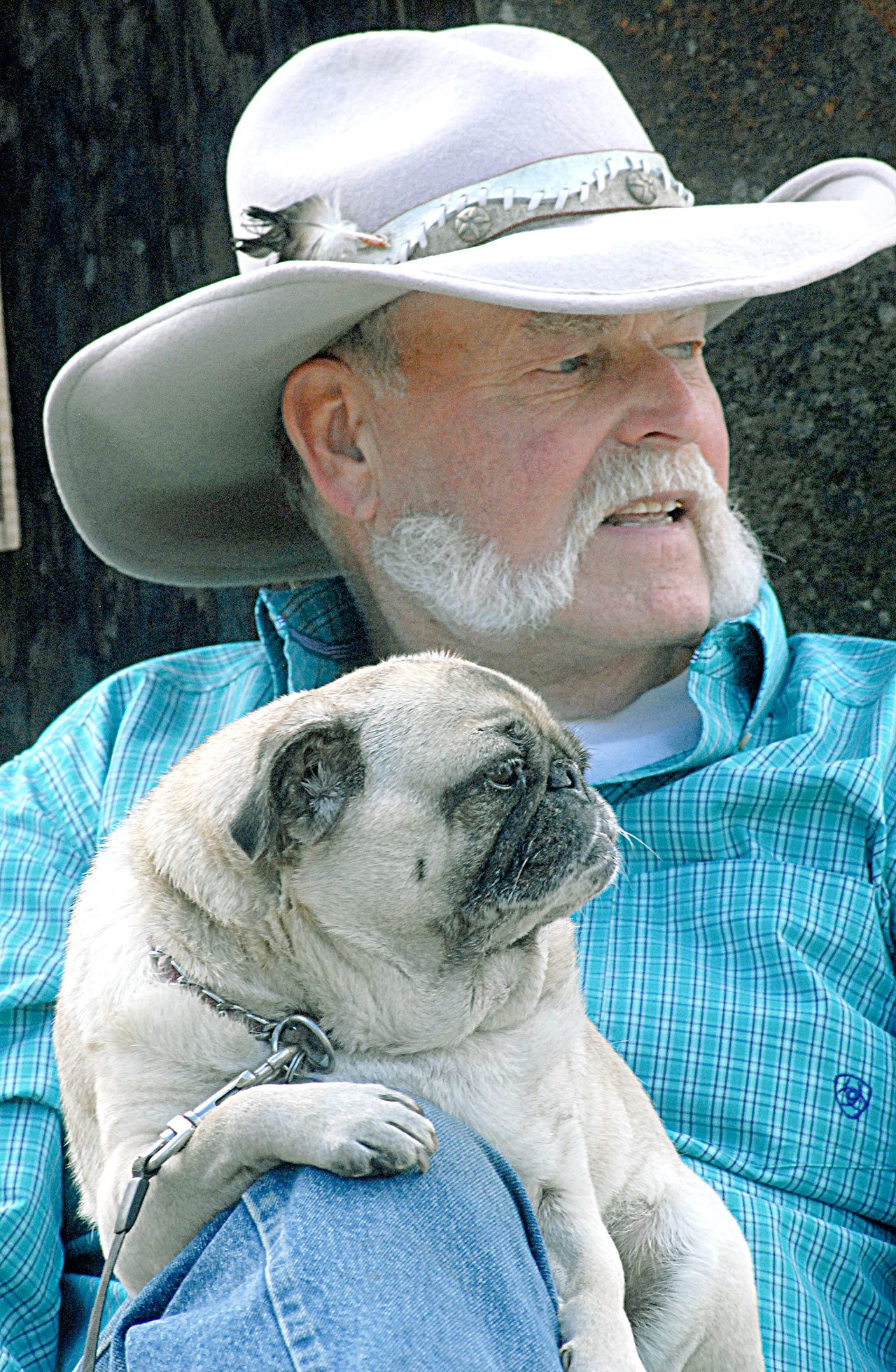 Tom Burns of Port Angeles watches the Joyce Daze crowds with his dog, Honey, a Chinese pug. (Keith Thorpe/Peninsula Daily News)