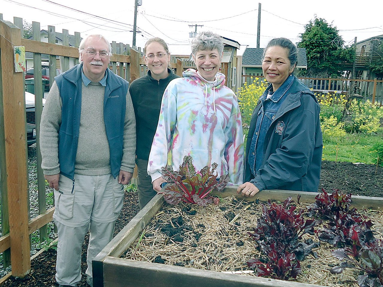 Veteran Master Gardeners, from left, Bob Cain, Laurel Moulton, Jeanette Stehr-Green and Audreen Williams will lead a one-hour walk through the Fifth Street Community Garden, 328 East Fifth St., Port Angeles, at noon today.