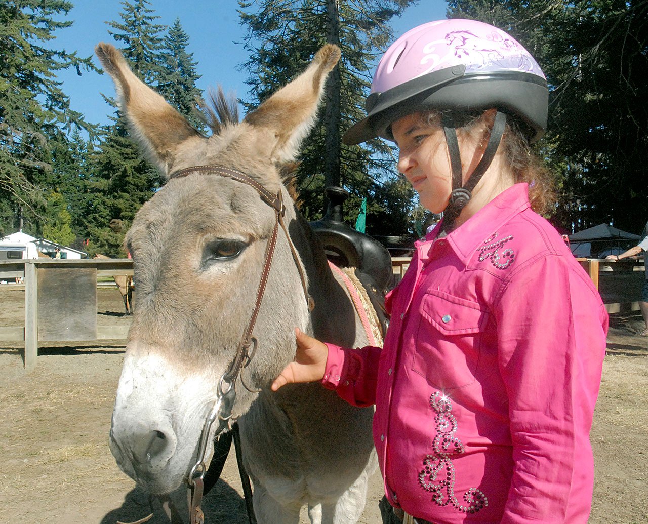 Ten-year-old Ashlynn Northaven of Port Angeles, a member of the Giddy Up and Grow 4-H, waits for a turn in the ring with her donkey, Peppermint, on Saturday. (Keith Thorpe/Peninsula Daily News)