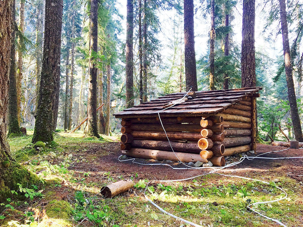 With the fires inside of Olympic National Park having grown larger in recent weeks, crews have been working to protect historic backcountry structures. Some have been covered in flame-retardant materials, while others have sprinkler systems in place and available to keep the building and area wet in case a fire comes near. (National Park Service)