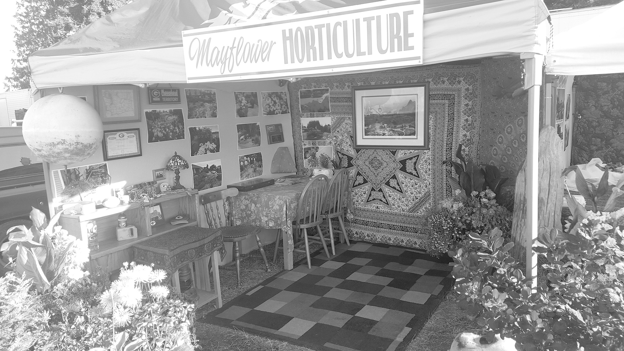 The horticultural booth at the Clallam County Fair.
