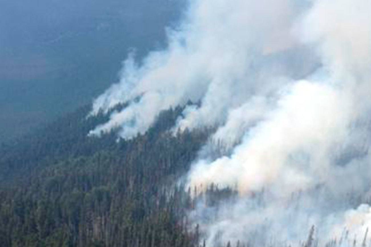 Spike in fire activity in Olympic National Park closes a section of Elwha River Trail