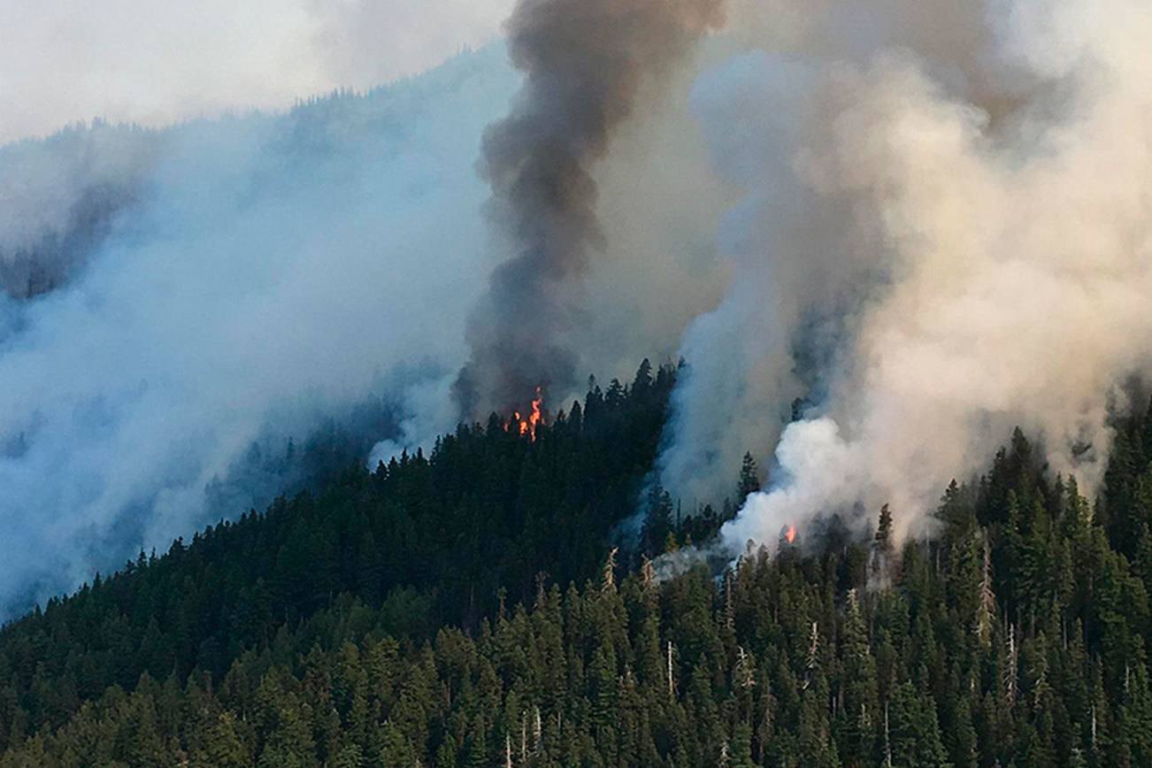 Largest of Olympic National Park fires now tops 700 acres