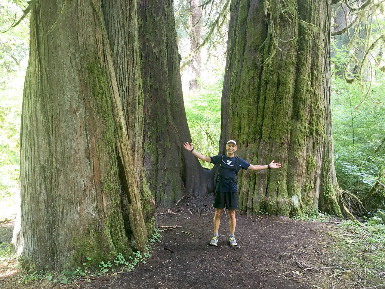 Former New York management consultant Bill Sycalik ran a 26.2-mile marathon in the Hoh Rainforest, the 13th in his National Parks Marathon Project. (Josh Sutcliffe)