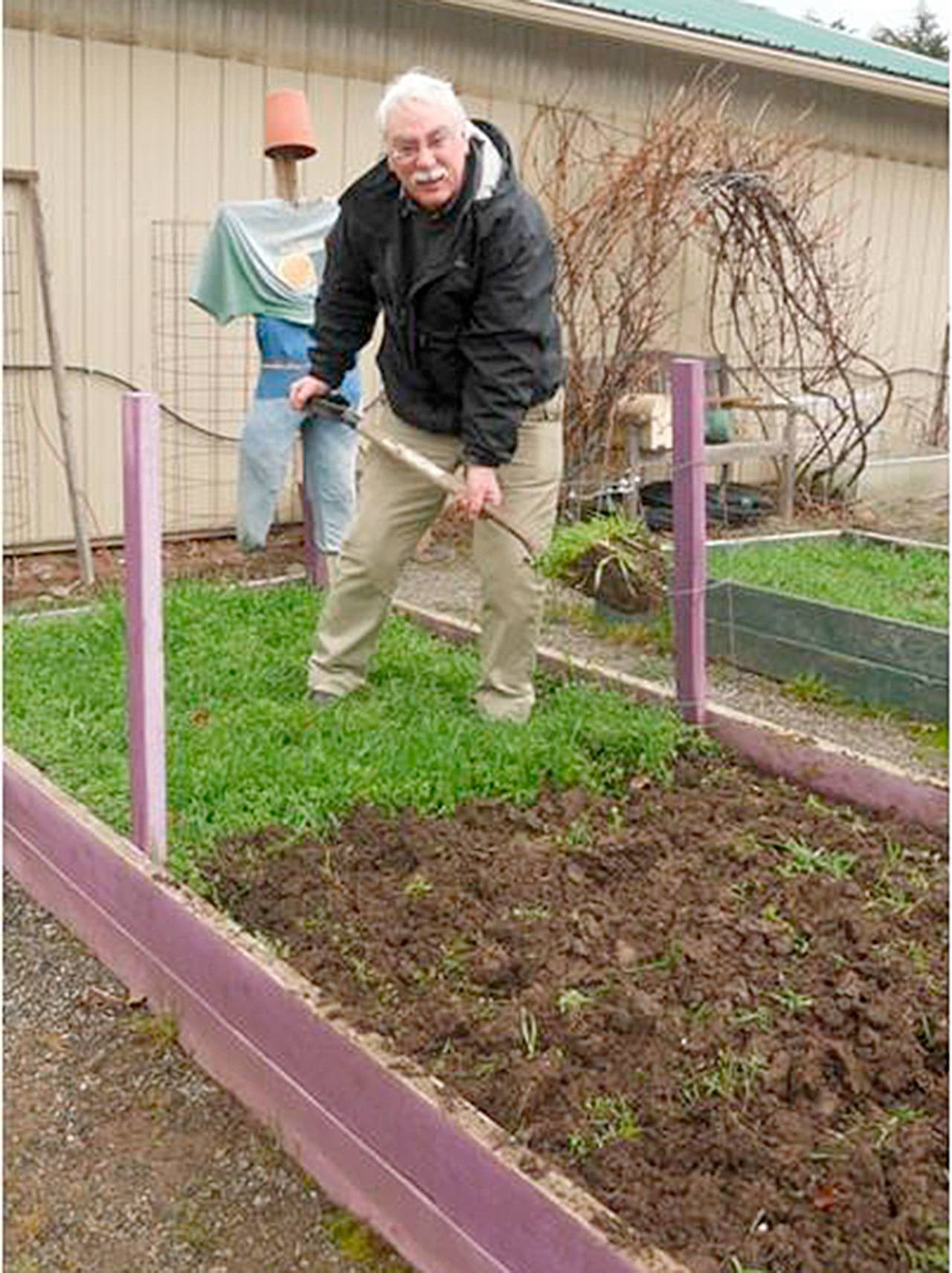 Information on using cover crops in home gardens will be presented by Master Gardener Bob Cain at noon Thursday at the County Commissioners Meeting Room of the Clallam County Courthouse, 223 E. Fourth St., Port Angeles.