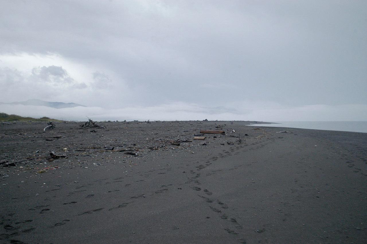 About 75 people turned out Saturday morning to view the Beach Lake shoreline, just east of the Elwha River estuary. Their tracks are seen here, some of the first on the new sand. (Chris McDaniel/Peninsula Daily News)