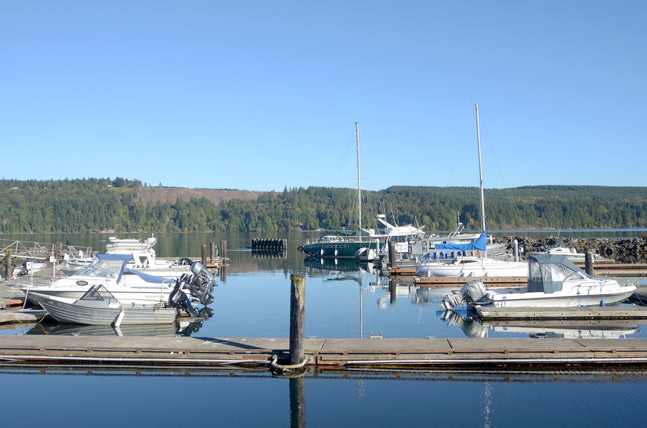 The Quilcene Marina has become the center of some controversy after a Port of Port Townsend public workshop meeting on Aug 24. (Cydney McFarland/Peninsula Daily News)