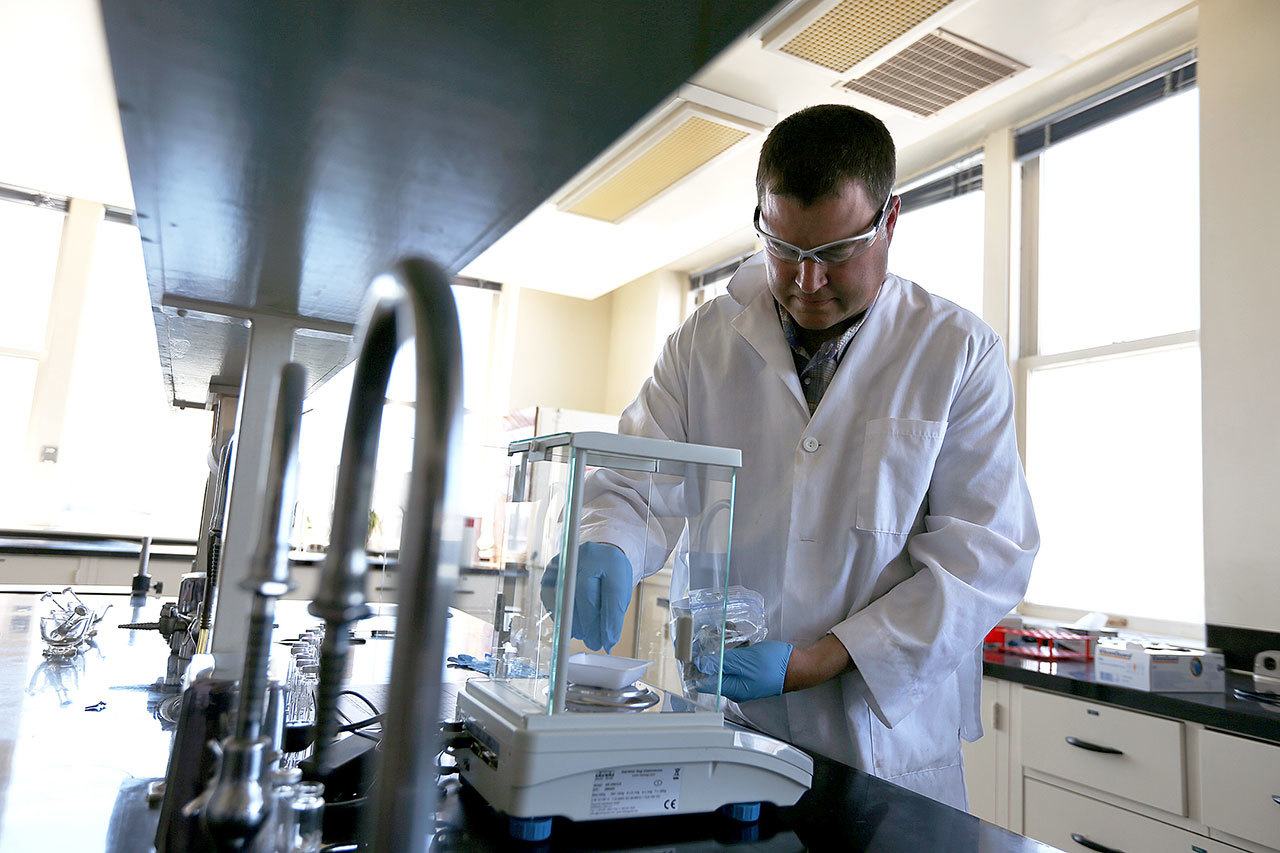 Randall Oliver, chief scientist for Analytical 360, scales out a sample of marijuana at the new cannabis analysis laboratory in Yakima. (Mason Trinca/Yakima Herald-Republic via AP)