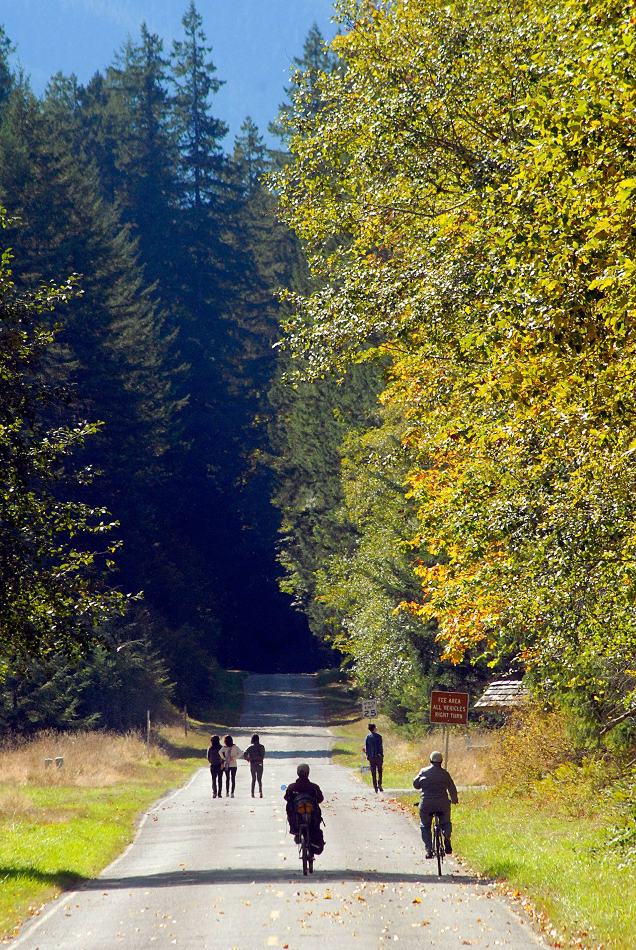Hikers and bicyclists make their way up Olympic Hot Springs Road in the Elwha Valley of Olympic National Park last month. (Keith Thorpe/Peninsula Daily News)