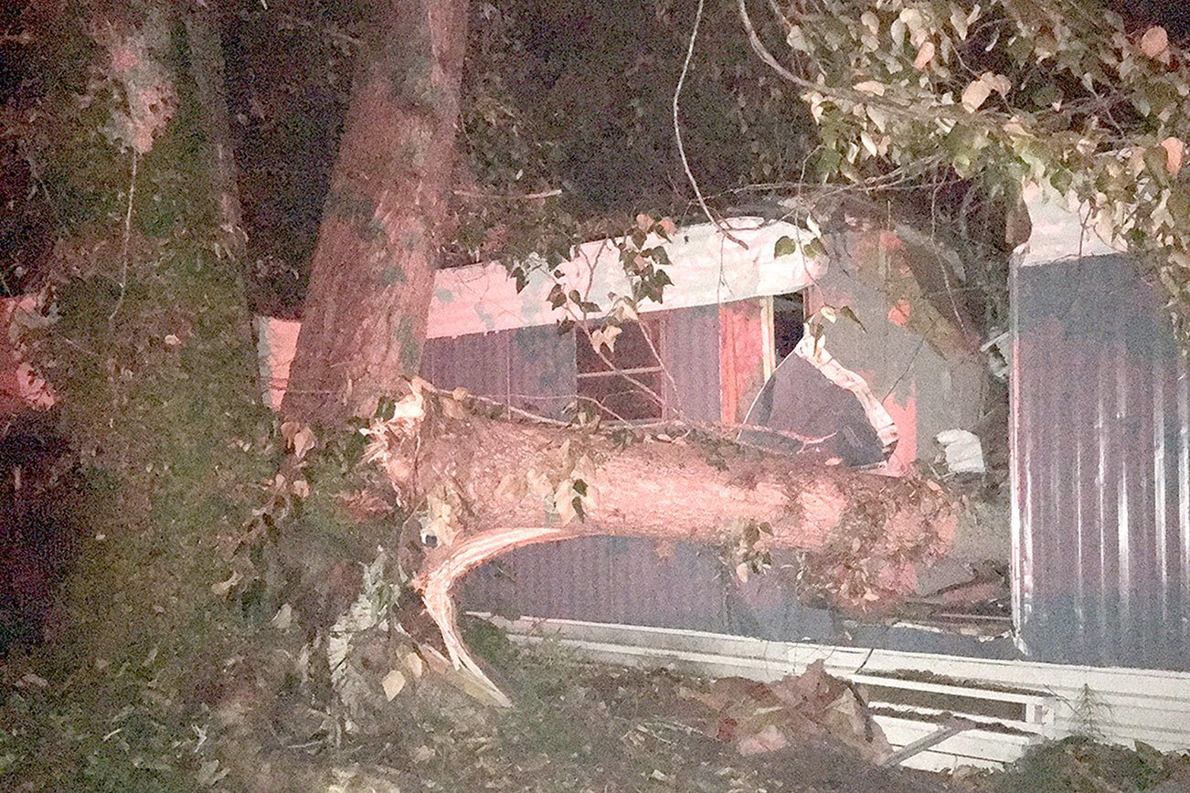 Two trapped as tree falls on Port Angeles mobile home