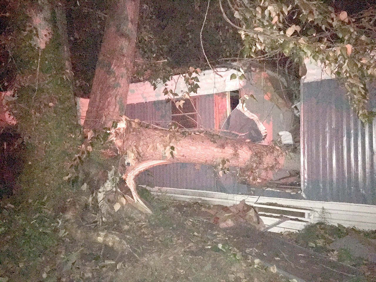Clallam Fire-Rescue District No. 2 responded to the home at 2221 W. Edgewood Drive at 5:18 a.m. after a cottonwood tree fell on it, trapping two residents inside. (Mike DeRousie/Clallam Fire District No. 2)