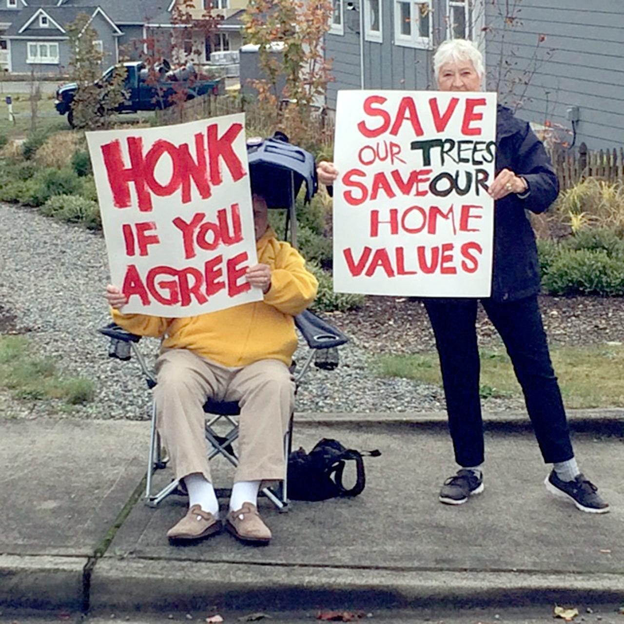 Roughly 40 Port Ludlow residents picketed outside the Cove Cottages in Port Ludlow last Sunday to protest timber harvesting by Port Ludlow Associates in 2015. (Eric Herzog)