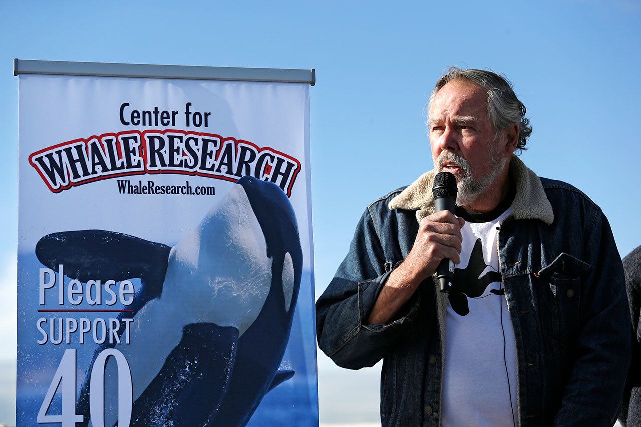 Ken Balcomb, senior scientist at the Center for Whale Research, talks about the declining population of endangered orcas that frequent Washington state waters during a news conference Friday in Seattle. (Elaine Thompson/The Associated Press)