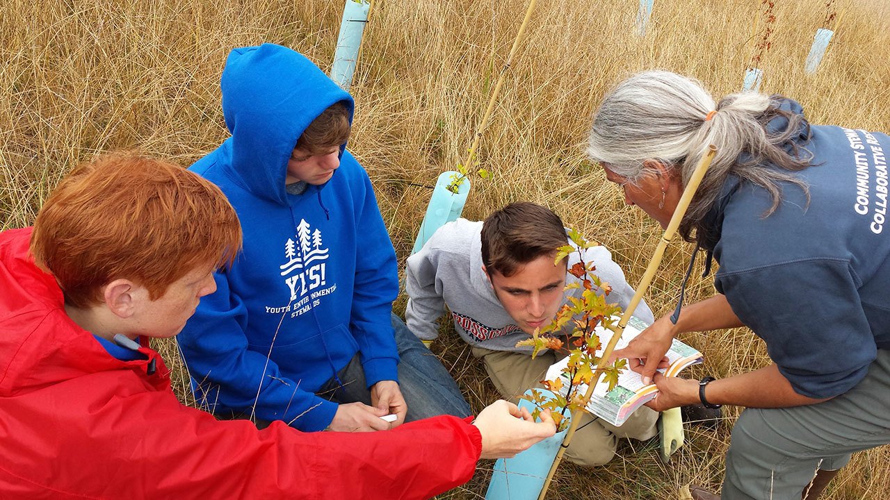 Port Townsend High School students, from left, Caleb Lumbard, Bodie LaBrie and Brennan LaBrie learn how to identify and monitor plants with Chrissy McLean of North Olympic Salmon Coalition.