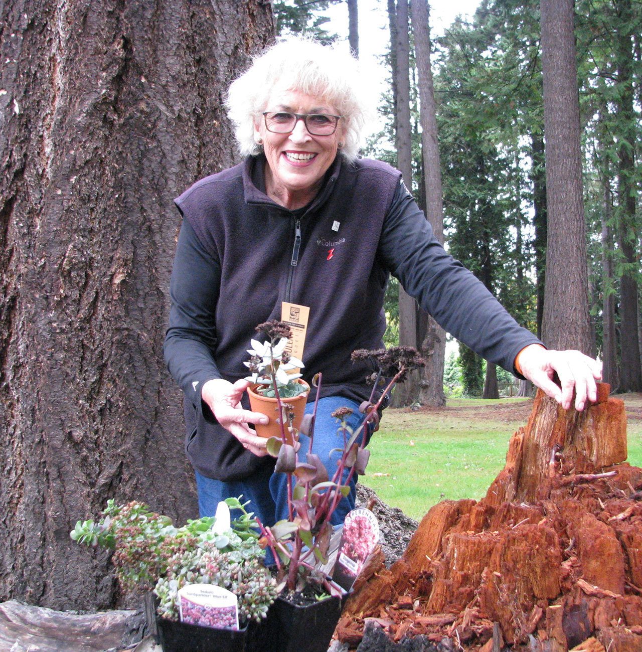 Master Gardener Marsha Robin will present “Inspiring Sedums” at noon Thursday in Port Angeles. (Amanda Rosenberg/Clallam County Master Gardeners)