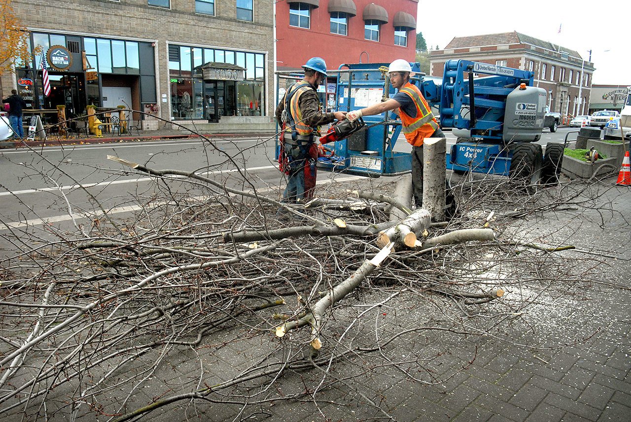 Interwest Construction Inc. employees Nick Donovan, left, and Dayne House work next to the remains of a tree in the 100 block of West First Street in downtown Port Angeles on Tuesday. (Keith Thorpe/Peninsula Daily News)