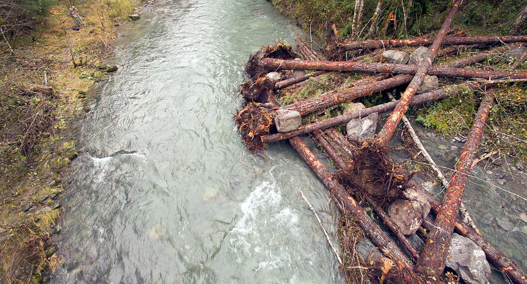 An aerial view of one of the logjams. (Hilton Turnbull)