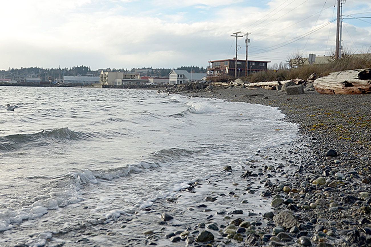 King tide possible wave of the future, according to group