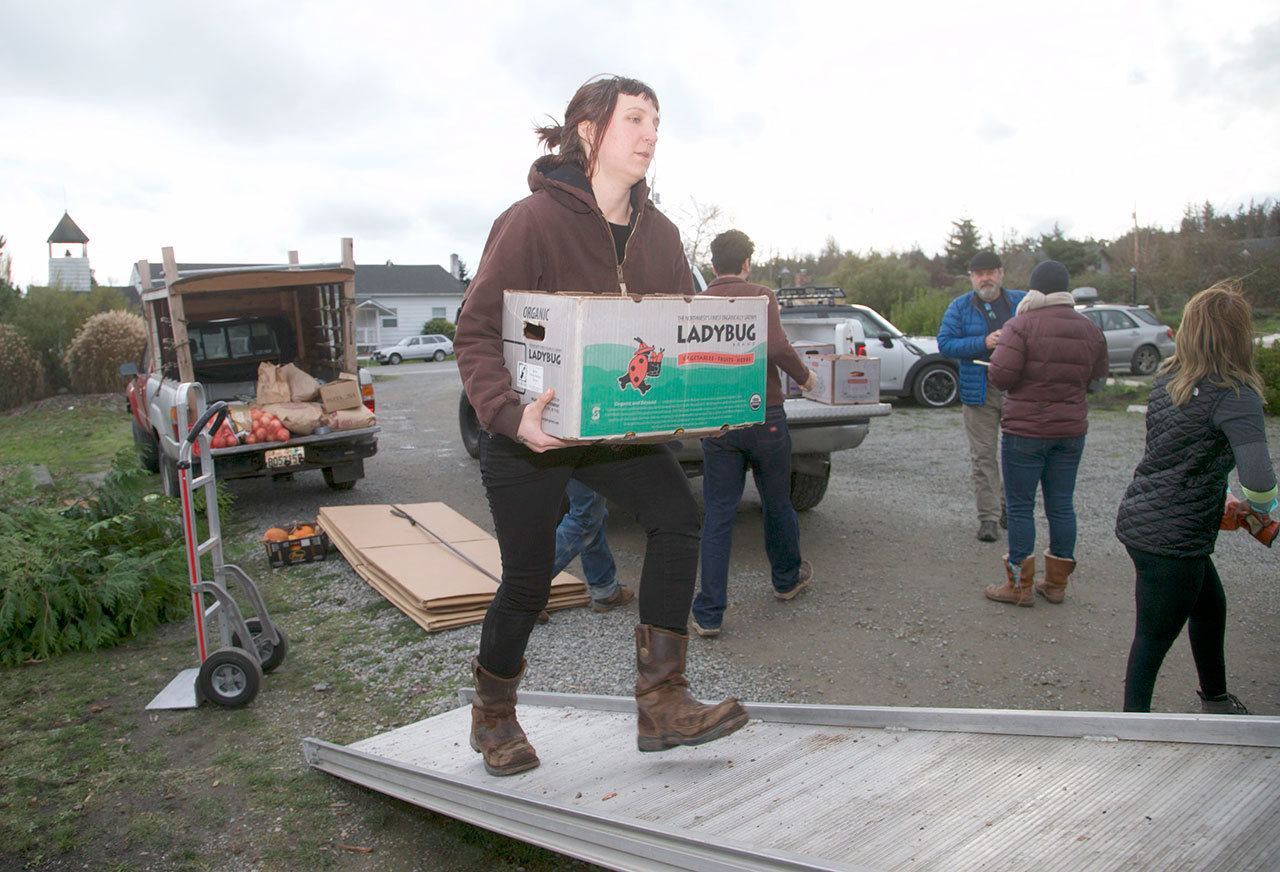 Quilcene’s Aimee Firth carries a load of produce into a truck bound for the Standing Rock Sioux Reservation in support of the pipeline protesters. (Steve Mullensky/for Peninsula Daily News)