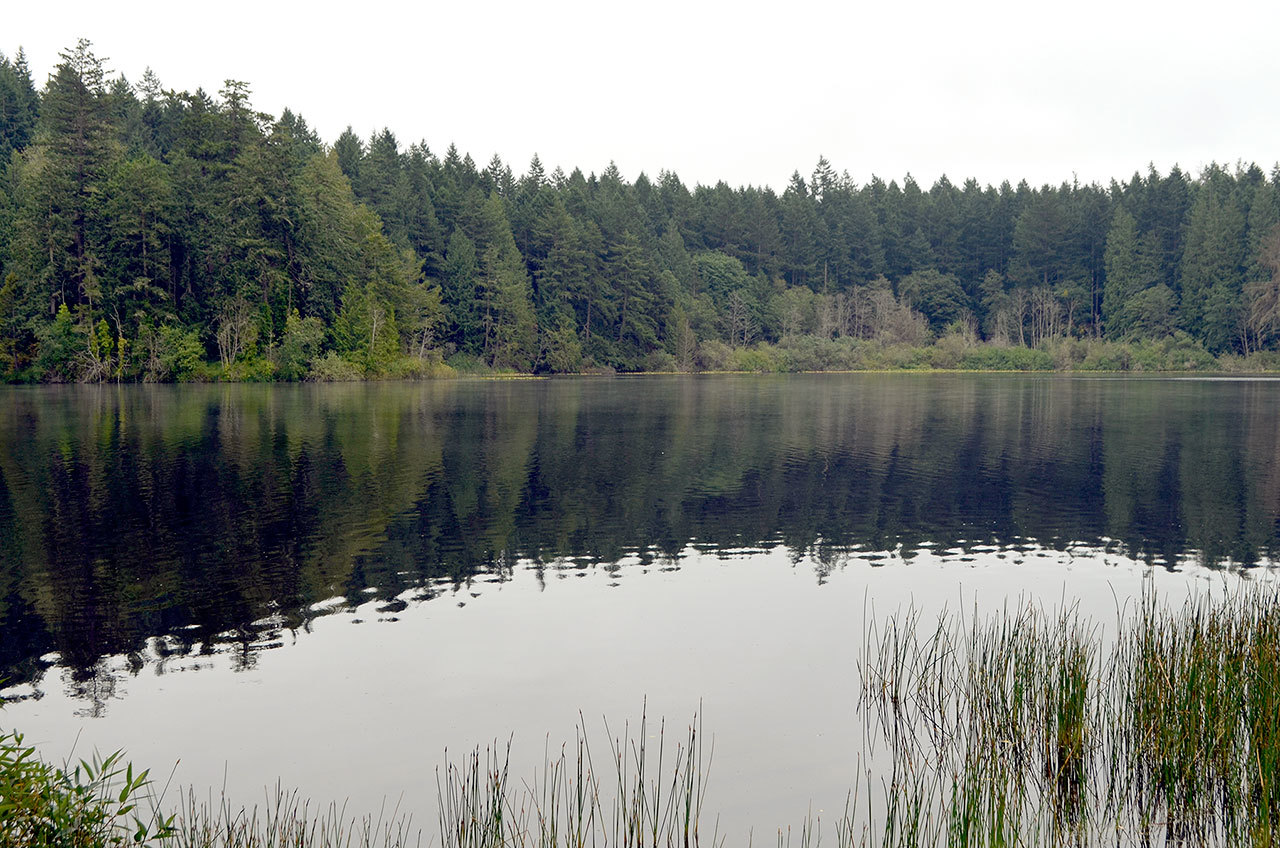 Anderson Lake, a popular spot between Port Townsend and Chimacum, has been plagued by blue-green algae since 2006. Now, the lake is open for fishing year-round. (Peninsula Daily News)
