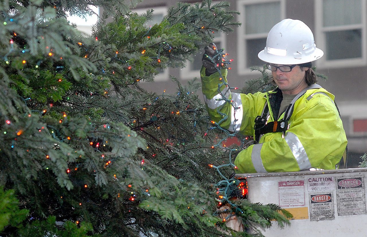 Keith Thorpe/Peninsula Daily News Port Angeles Parks Department employee Eli Hammel strings lights on the community Christmas tree at the Conrad Dyar Memorial Fountain in downtown Port Angeles on Tuesday. Nearly 12,000 lights will adorn the finished tree, which will be lit during a ceremony on Saturday night on Laurel Street across from the fountain plaza.                                Port Angeles Parks Department employee Eli Hammel strings lights on the community Christmas tree at the Conrad Dyar Memorial Fountain in downtown Port Angeles on Tuesday. Nearly 12,000 lights will adorn the finished tree, which will be lit during a ceremony Saturday night on Laurel Street across from the fountain plaza. (Keith Thorpe/Peninsula Daily News)