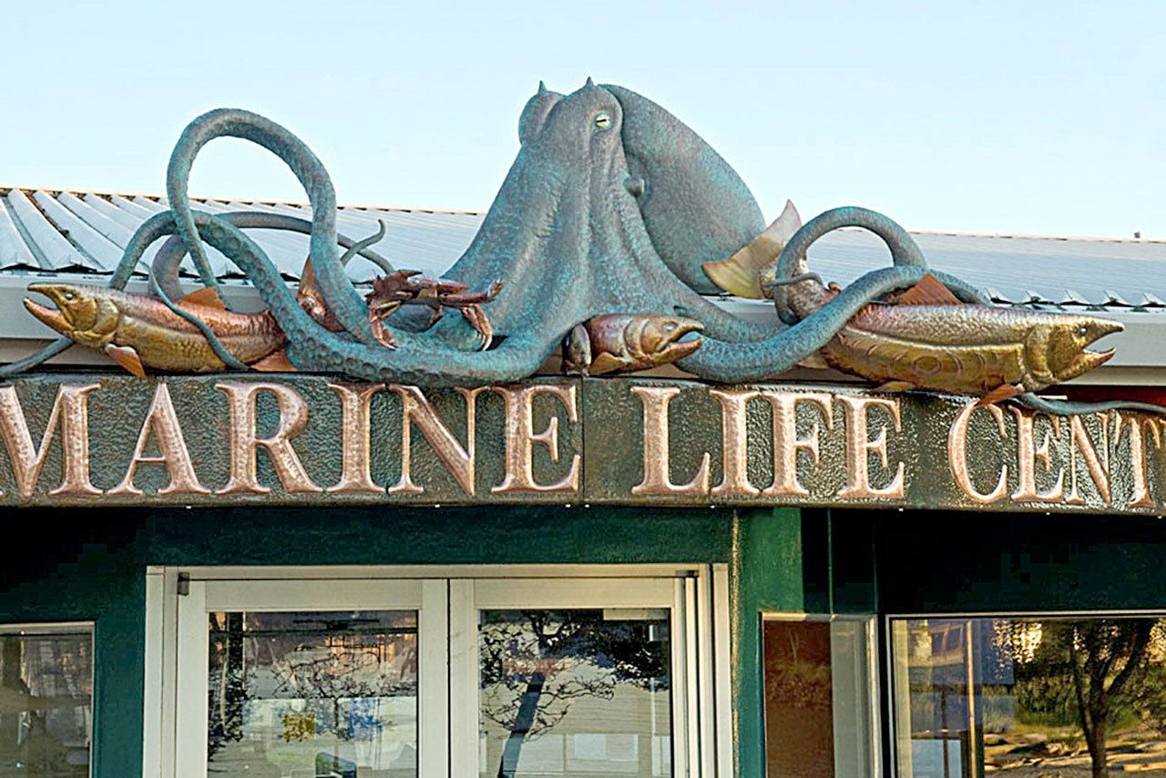 The Olympic Peninsula Art Association on Thursday will host its annual holiday potluck at St. Luke’s Episcopal Church. The program will be presented by Clark Mundy, a self-taught copper sculptor who crafted the 20-foot-long copper and stainless-steel sculptural sign above the entrance to the Feiro Marine Life Center on the Port Angeles City Pier seen here. (Eric Neurath)