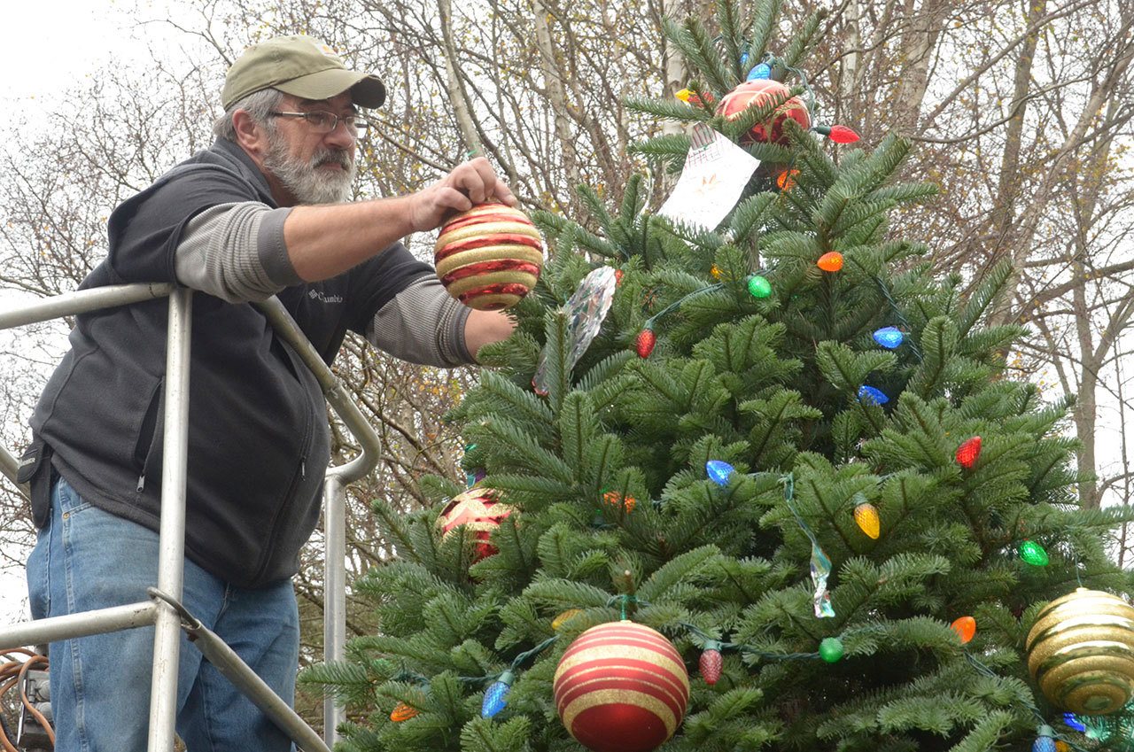 Volunteer Michael Rosser helps decorate the Port Townsend Christmas tree Tuesday to prepare for the weekend’s holiday events. (Cydney McFarland/Peninsula Daily News)