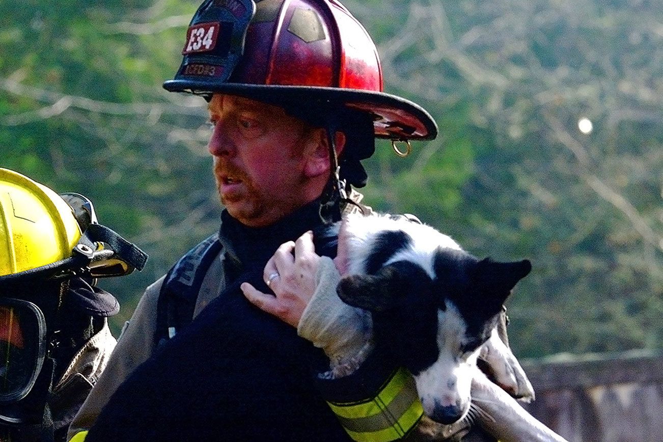 Dog rescued from house fire east of Port Angeles