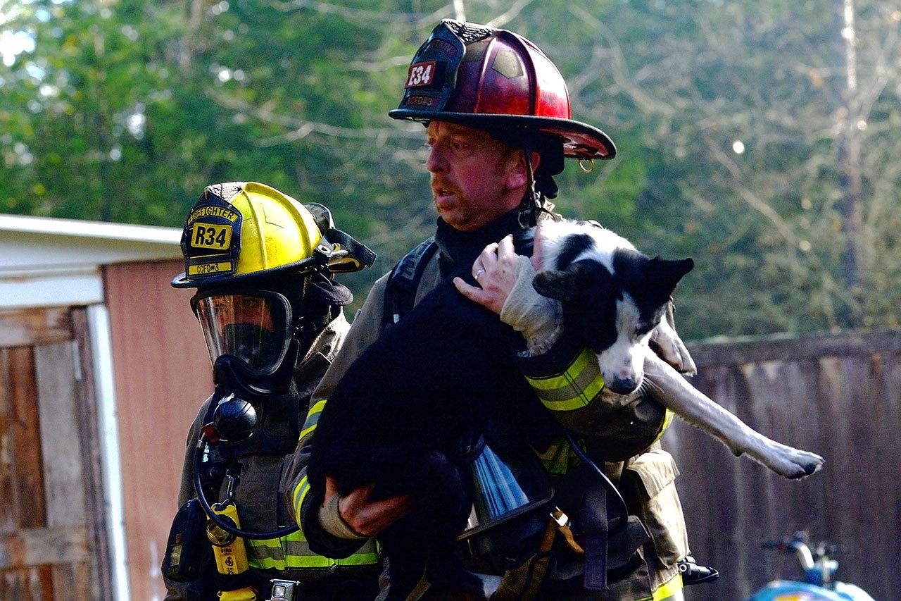 Marc Lawson, Captain for Clallam Fire District No. 3, carries a dog from a house that caught fire on Blue Valley Road east of Port Angeles on Sunday morning. (Jesse Major/Peninsula Daily News)