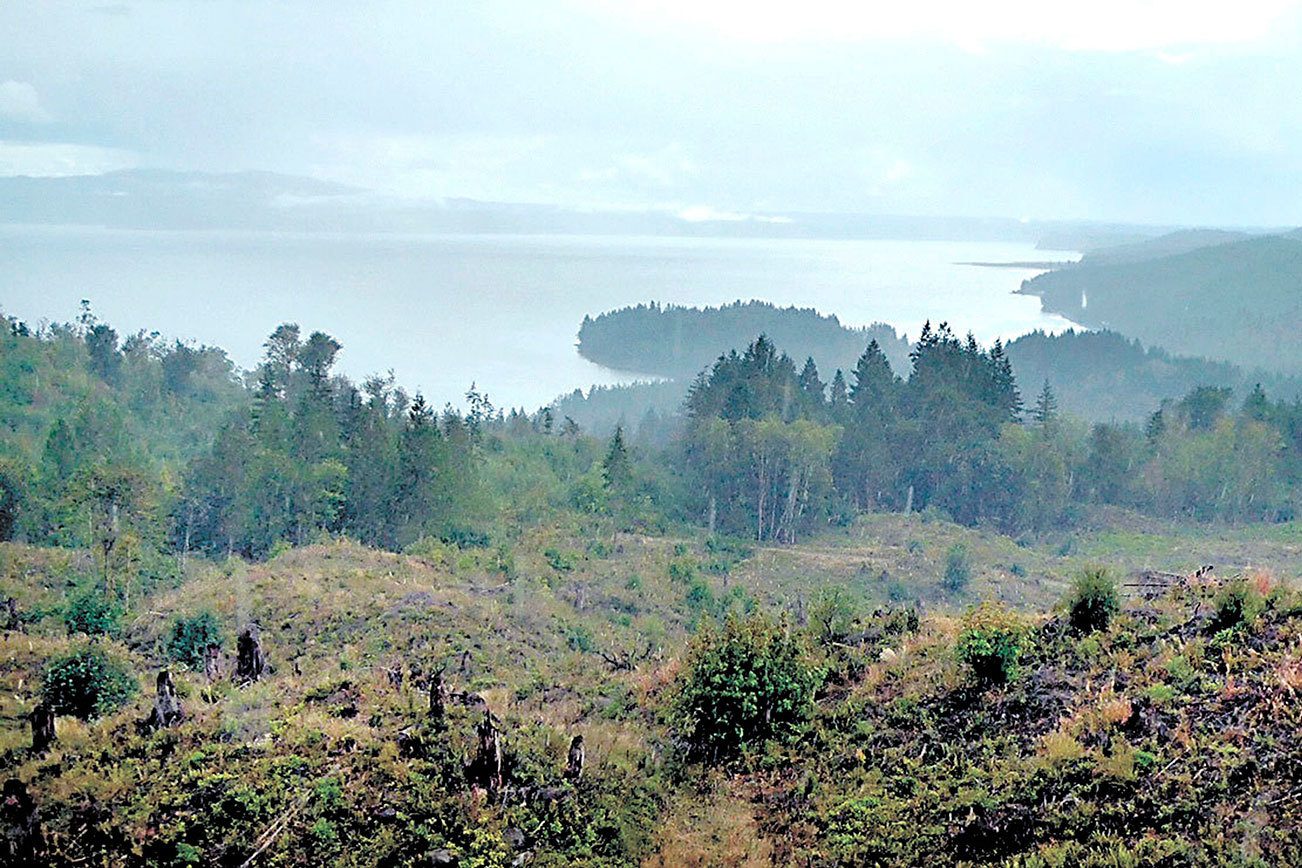 State order protects nearly 4,000 more acres of Dabob Bay