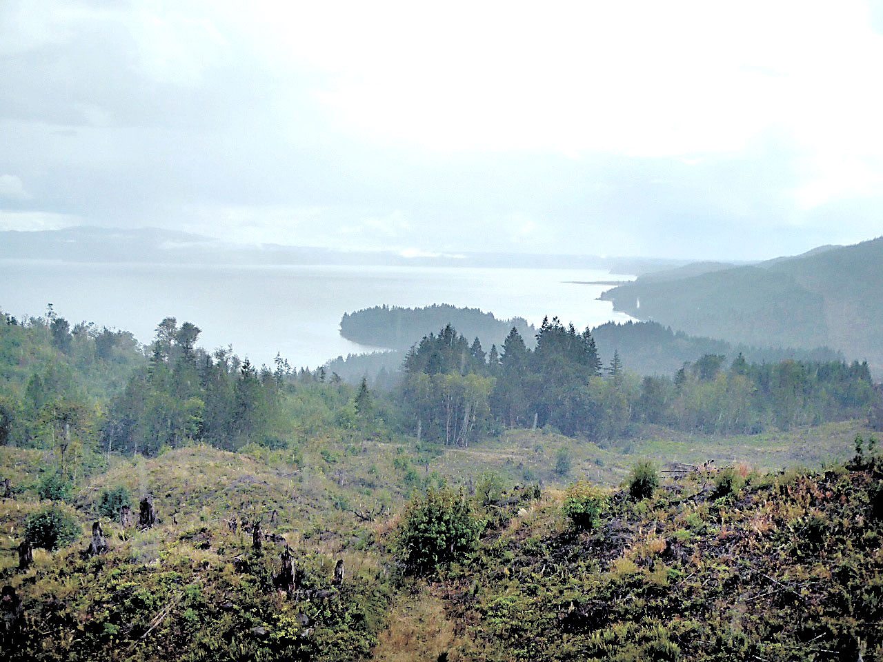 The Dabob Bay Natural Resource Conservation Area will grow by 3,393 acres under an executive order from commissioner of public lands Peter Goldmark. (Peninsula Daily News)