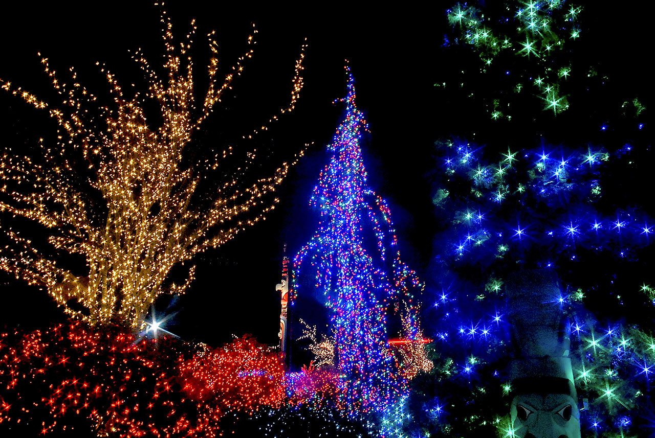 Decorative lights illuminate trees and bushes on the grounds of 7 Cedars Casino in Blyn. The campus of the nearby Jamestown S’Klallam tribal offices and Longhouse Market & Deli are similarly adorned. (Keith Thorpe/Peninsula Daily News)