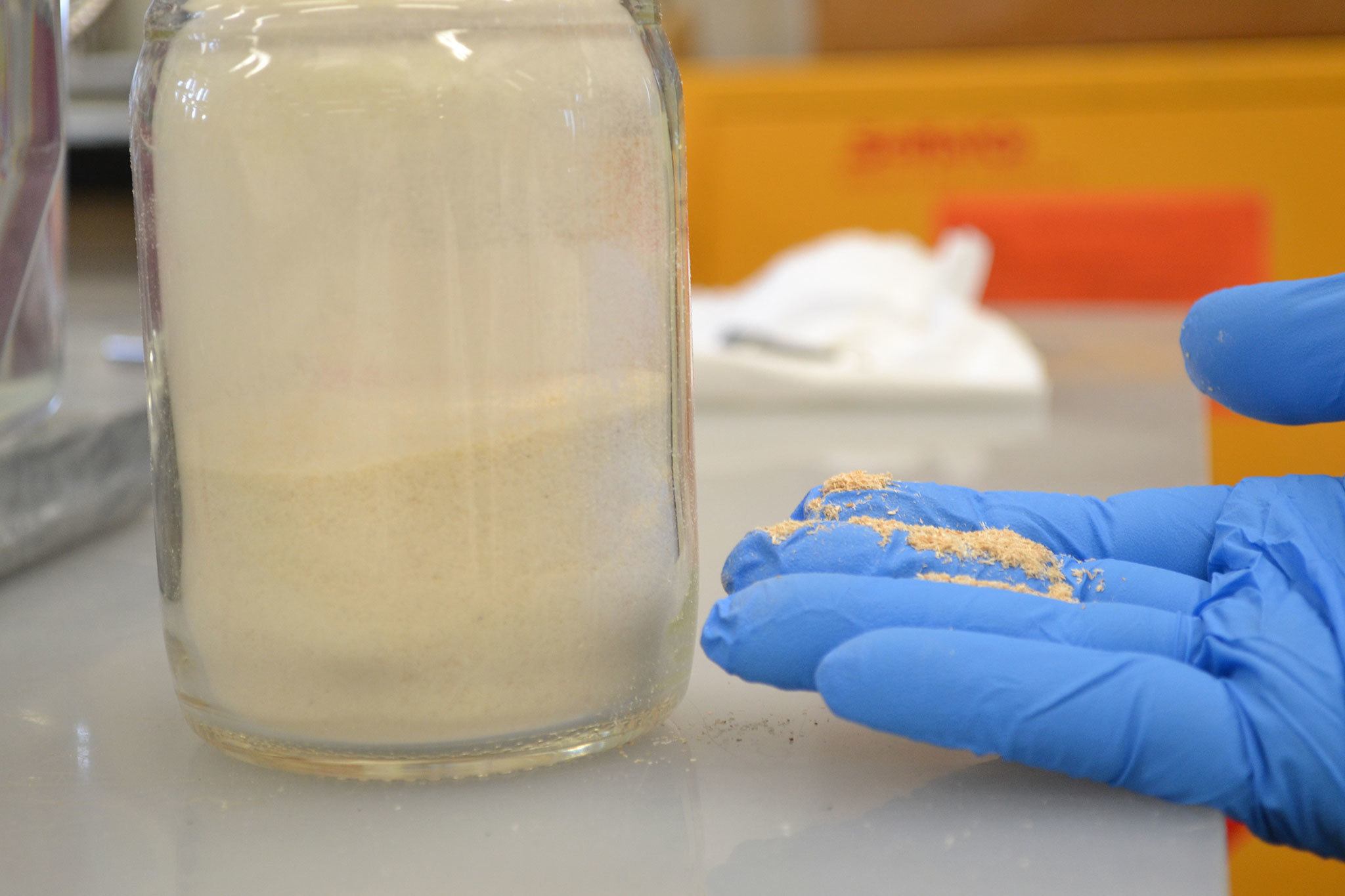 This wood flour is fine dust from wood processing that chemists modified to attract oil, repel water and prevent freezing so it can more effectively help burn oil in icy conditions. (Matthew Nash/Olympic Peninsula News Group)