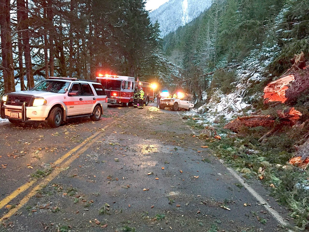 Emergency responders work around an empty SUV that held five people when it was struck by a tree at Lake Crescent on Sunday. (Clallam County Fire District No. 2)