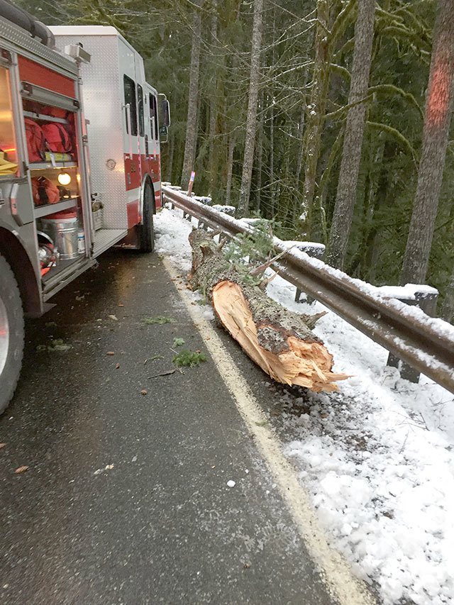 Clallam Fire District No. 2 protects the scene and the piece of tree that struck the vehicle Sunday. (Clallam Fire District No. 2)
