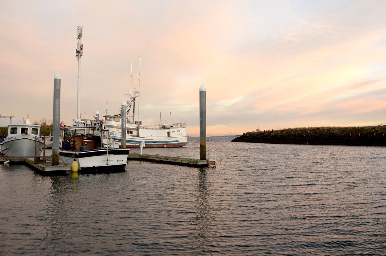 The breakwater along the entrance of the Boat Haven marina in Port Townsend will be undergoing emergency repairs starting Monday. (Cydney McFarland/Peninsula Daily News)