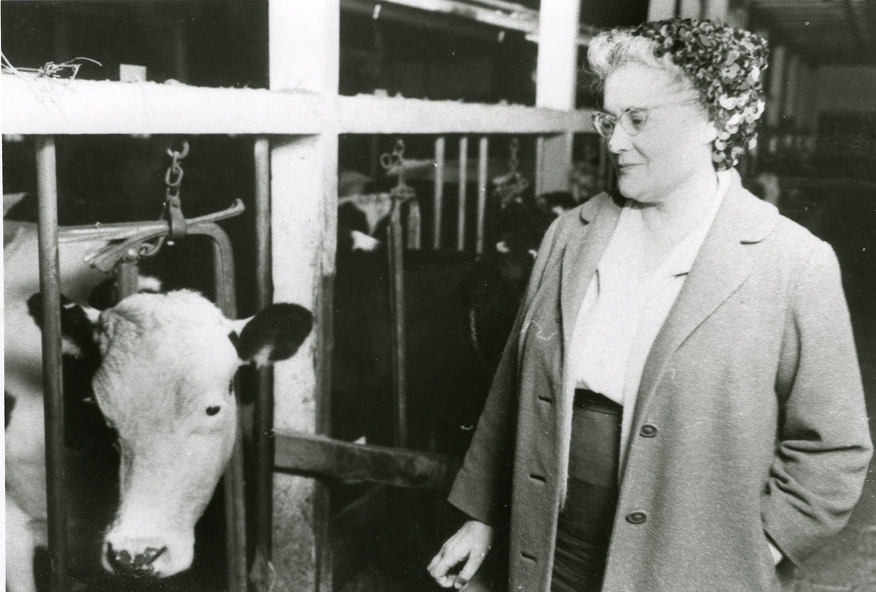 Josephine Yarr with prize winning dairy cow in 1964. (Jefferson County Historical Society)