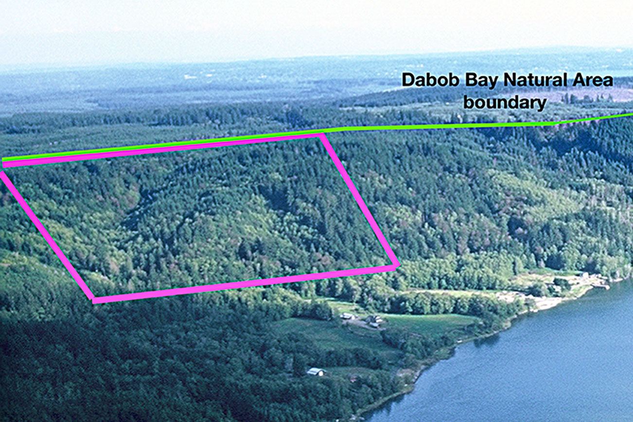 DNR buys forested slopes above Tarboo Bay for long-term conservation
