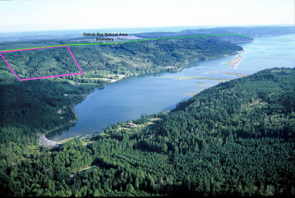 DNR buys forested slopes above Tarboo Bay for longterm conservation