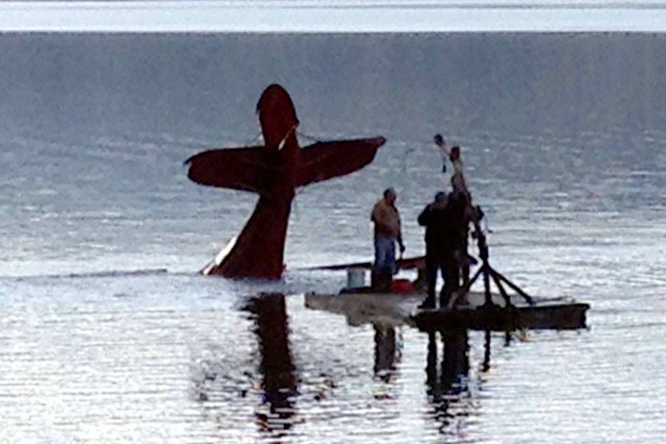 Plane goes down in Discovery Bay; pilot unharmed, reports say