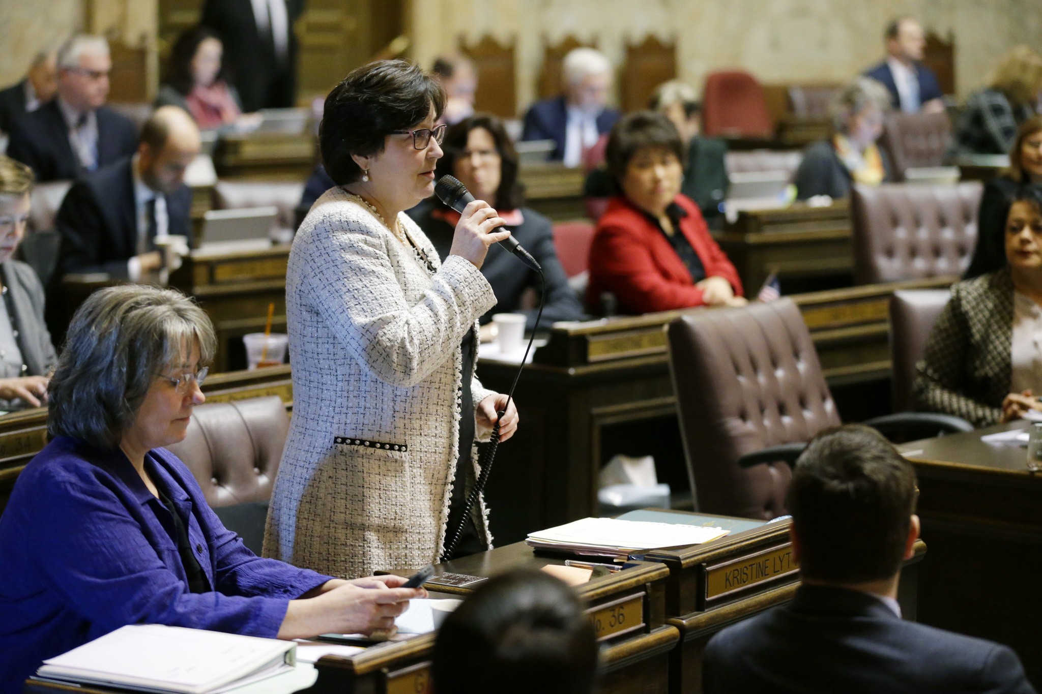 Rep. Kristine Lytton, D-Anacortes, speaks on the state House floor on Monday at the Capitol in Olympia. (Ted S. Warren/The Associated Press)