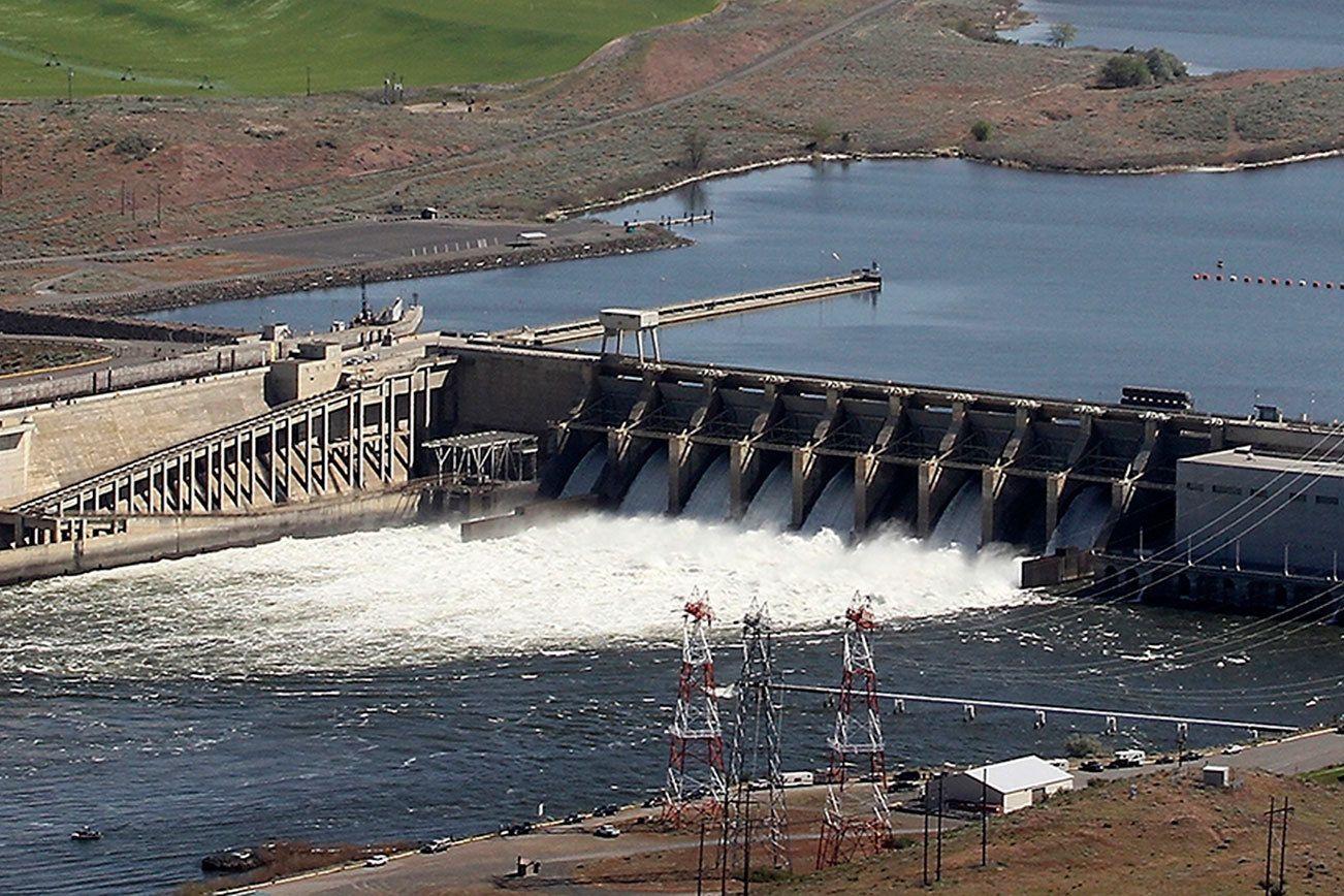 Environmental groups want work halted on Snake River dams