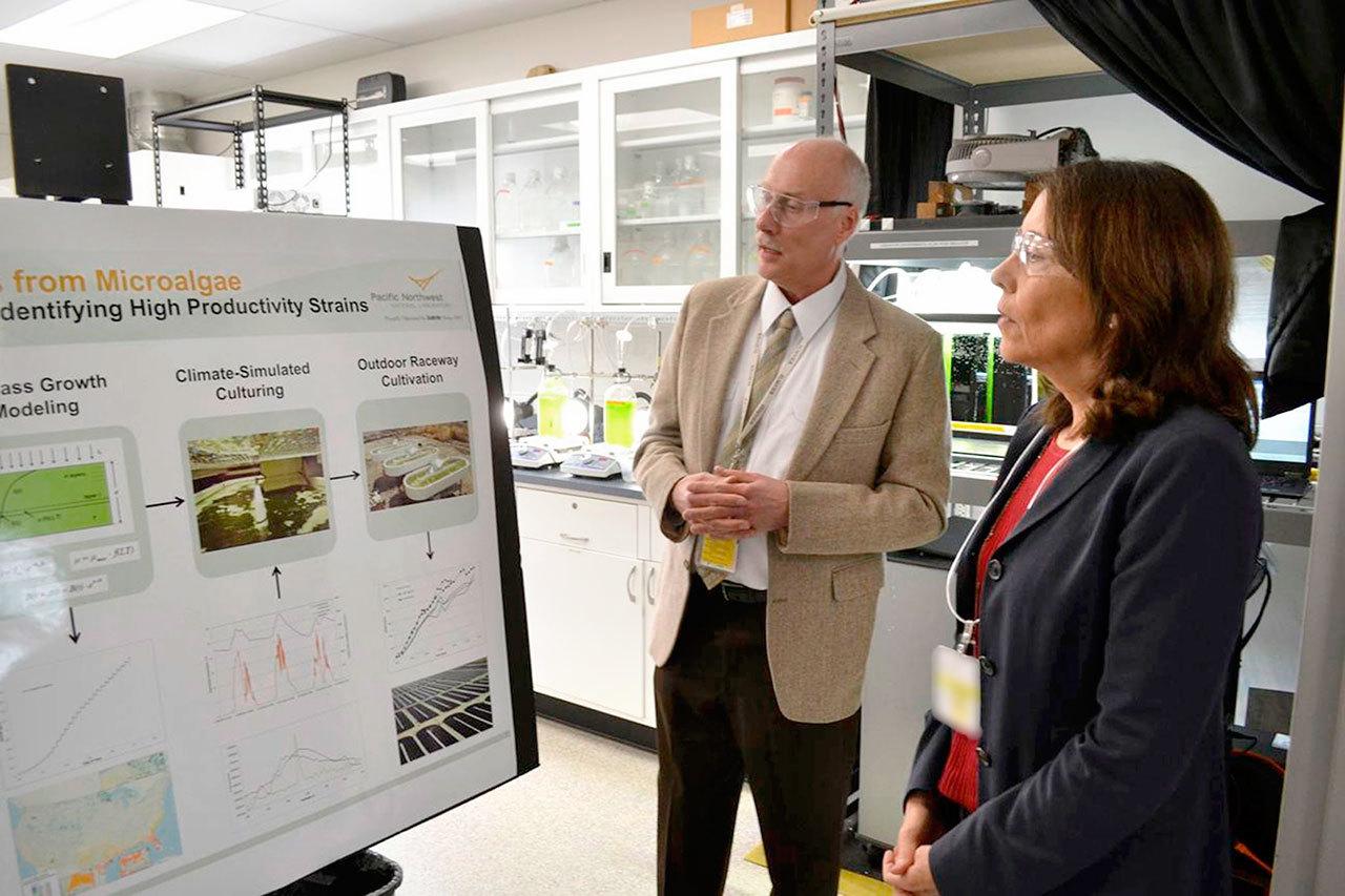 Dr. Michael Huesemann, lead researcher for the algae biofuel program in Sequim’s Pacific Northwest National Laboratory, meets with U.S. Sen. Maria Cantwell briefly in July 2016 about algae and its potential. His current project looks to find the best growing conditions for algae to harvest biofuel quickly. (Matthew Nash/Olympic Peninsula News Group)                                Dr. Michael Huesemann, lead researcher for the algae biofuel program in Sequim’s Pacific Northwest National Laboratory, meets with U.S. Sen. Maria Cantwell, D-Mountlake Terrace, briefly in July 2016 about algae and its potential. His current project looks to find the best growing conditions for algae to harvest biofuel quickly. (Matthew Nash/Olympic Peninsula News Group)