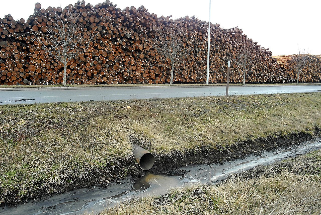 A drainage ditch along South Airport Road across from a log yard near William R. Fairchild International Airport contain traces of a black substance that is being investigated by Port of Port Angeles officials. (Keith Thorpe/Peninsula Daily News)