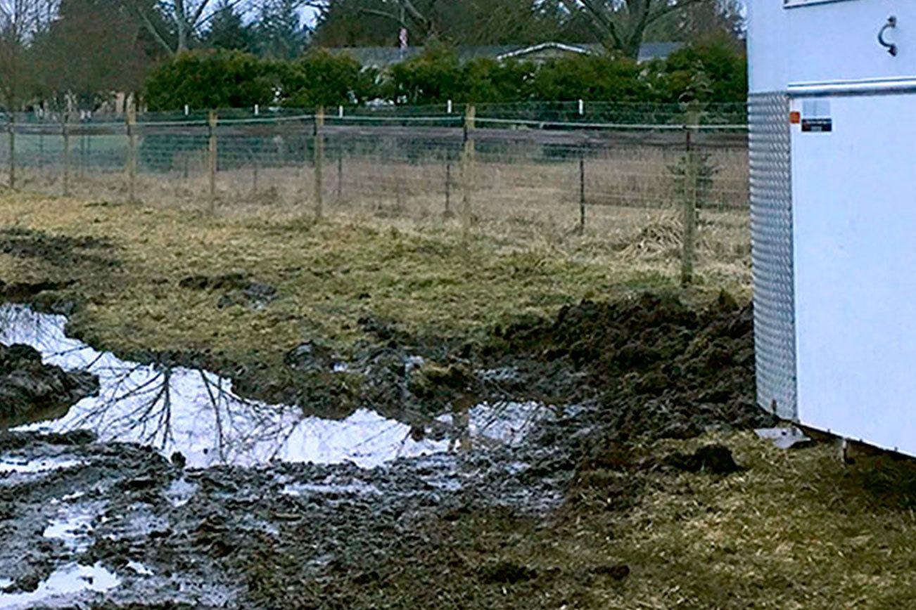HORSEPLAY: Soggy ground causes sinking feeling