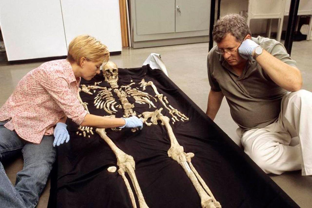 Smithsonian Institution physical anthropologists Karin Bruwelheide and Doug Owsley discuss the position of the Kennewick Man skeleton during an anatomical layout of the remains in this file photo. (Chip Clark/Smithsonian Institution)