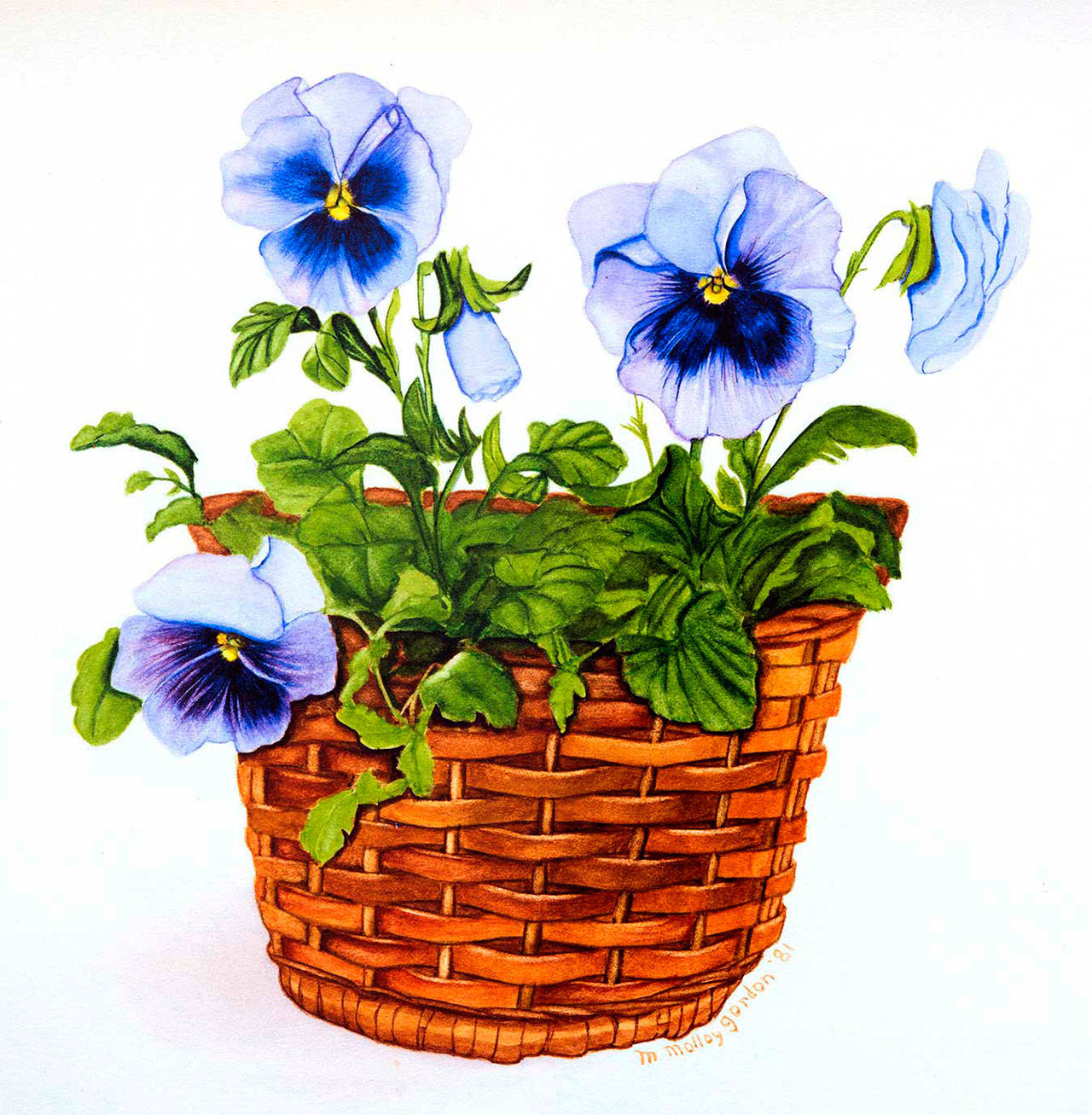A painting of pansies done by Marcy Gordon will be shown at Gallery 9 during Gallery Walk in Port Townsend on Saturday.