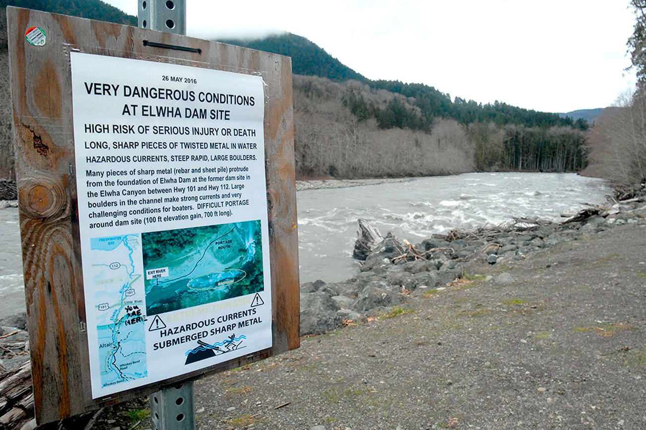 Wild river creates hurdles for visitors, but freed Elwha now a better home for fish