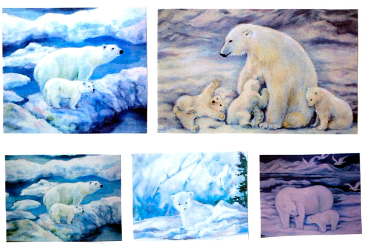 Reiko Yamaguchi Barclay’s “Polar Bear illustrations” will be displayed at the Museum and Arts Center during First Friday Art Walk in Sequim tonight.