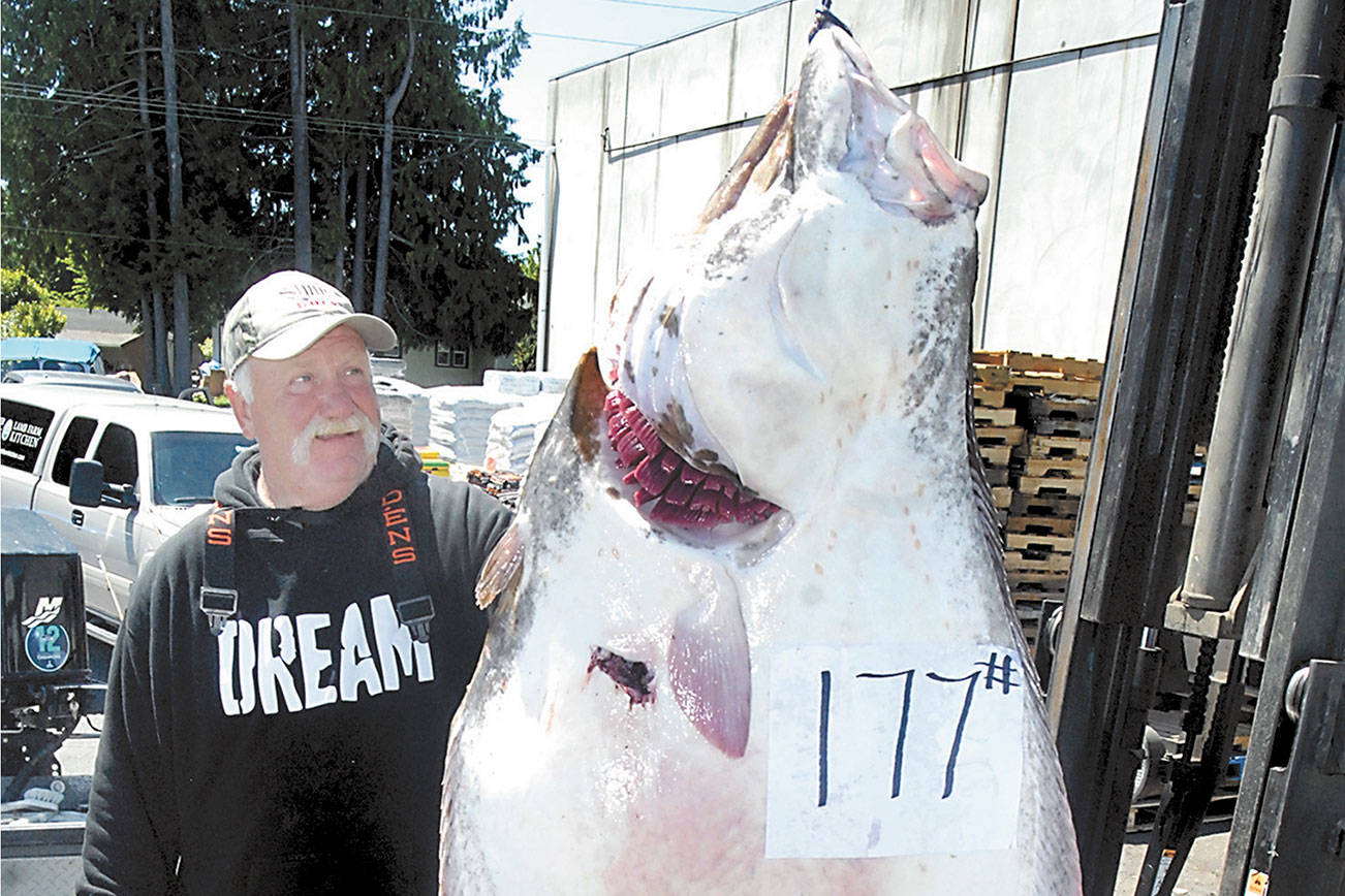 Port of Port Townsend backs halibut resolution to extend season